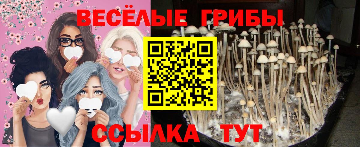 Галлюциногенные грибы прущие грибы  Вход с VPN  Кубинка  Галлюциногенные грибы Magic Shrooms 